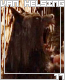 vanhelsing17
